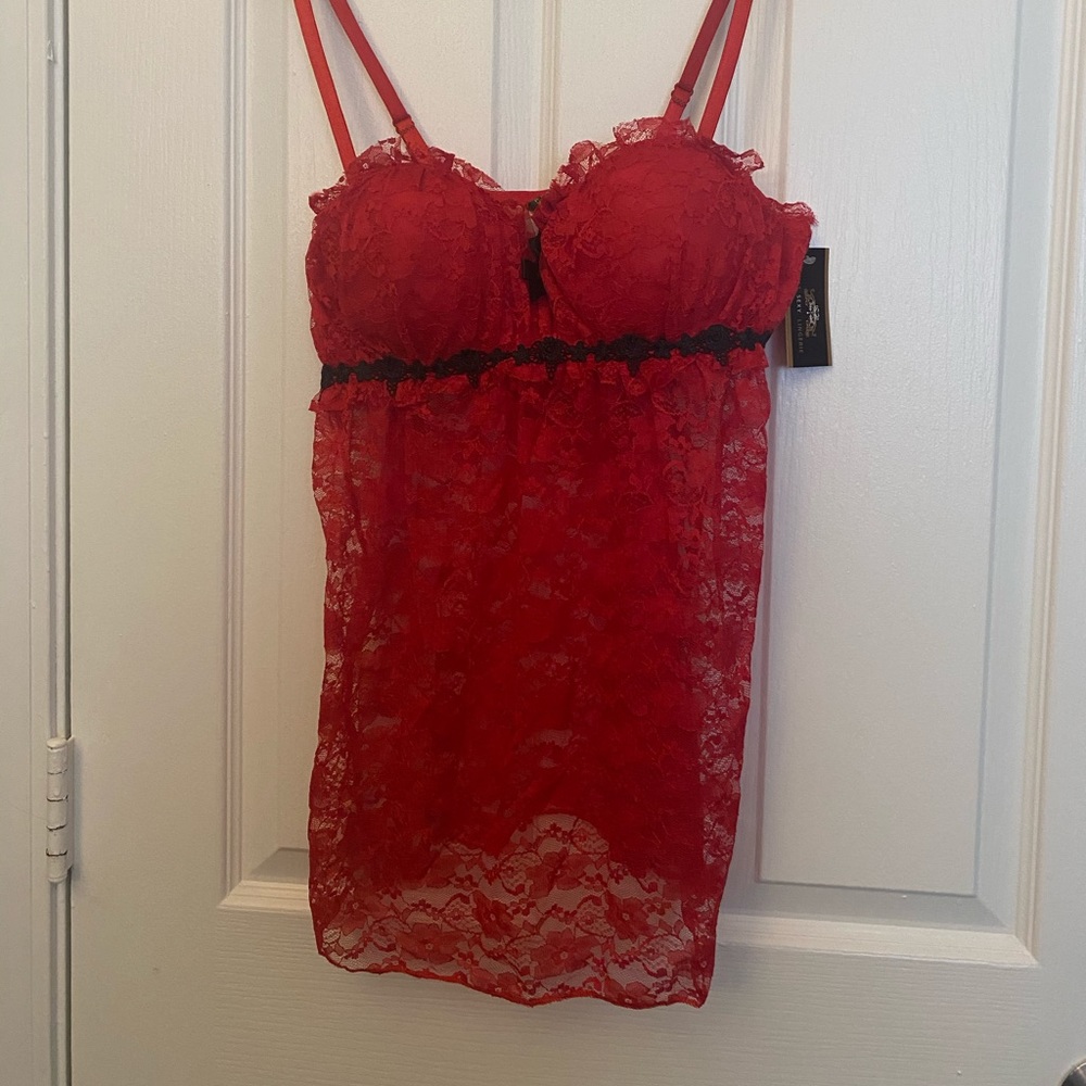 Sexy teddy new with tags